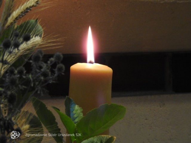 batch_DSCN4651
